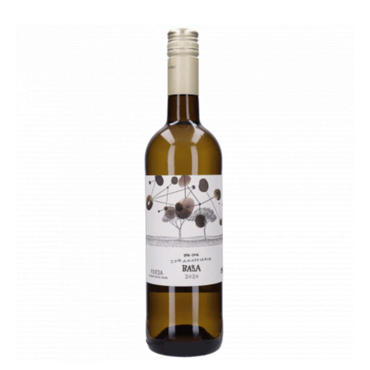 Telmo Rodríguez Basa Verdejo